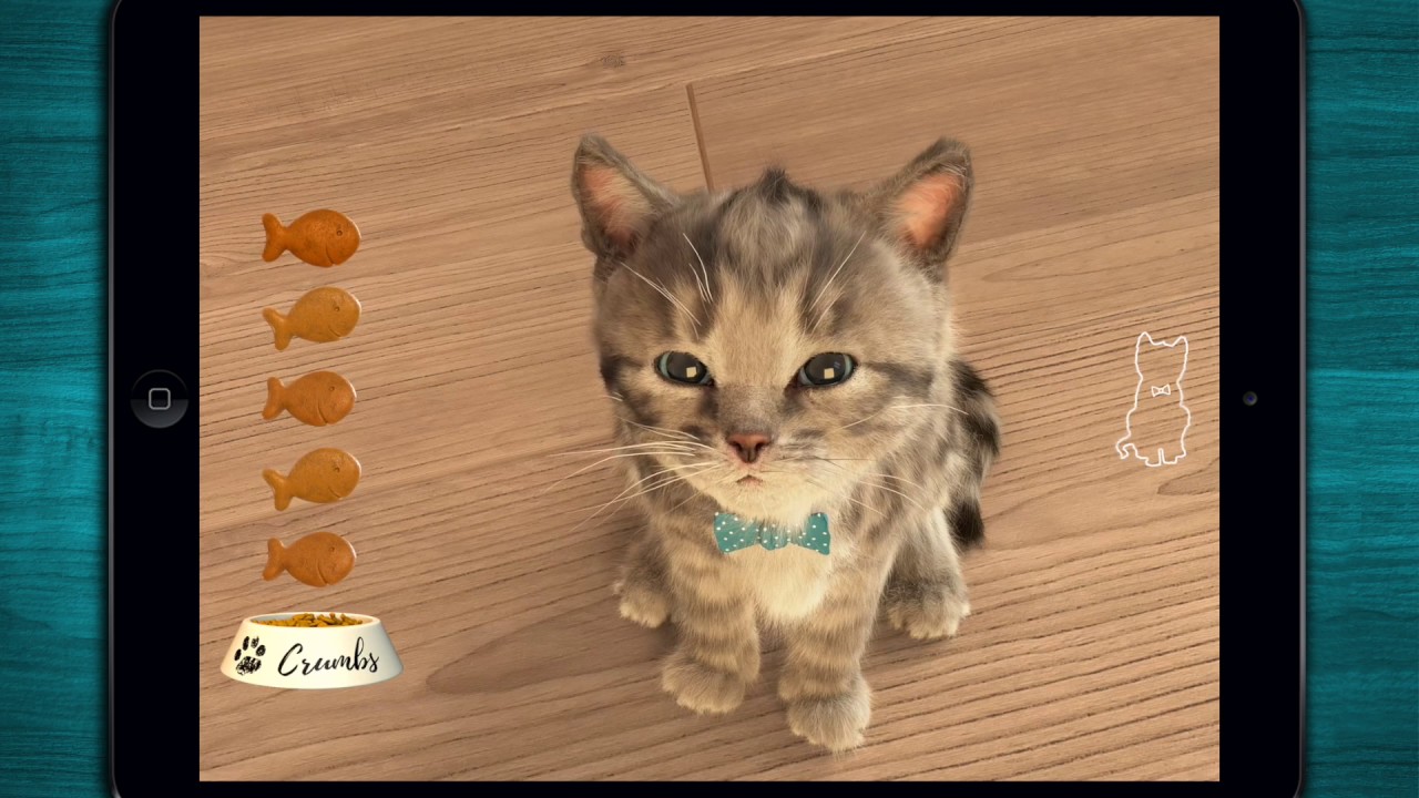Mi Gato Ataca Al Nuevo Gatito